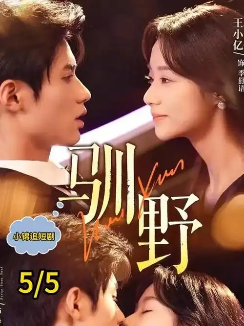 第九个证人 剧集封面